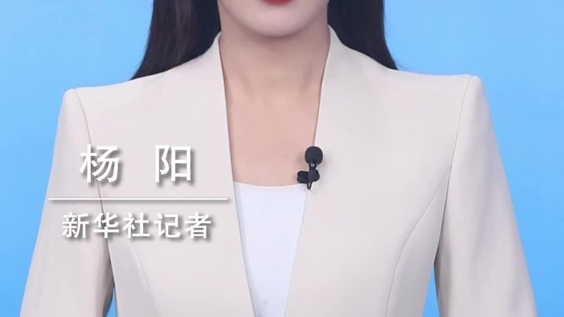 政务云服务：揭秘十大品牌排名背后的考量因素